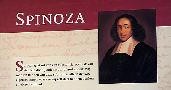 Terugblik zomerprogramma 2024