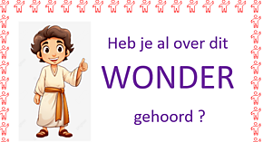 Kindernevendienst XL