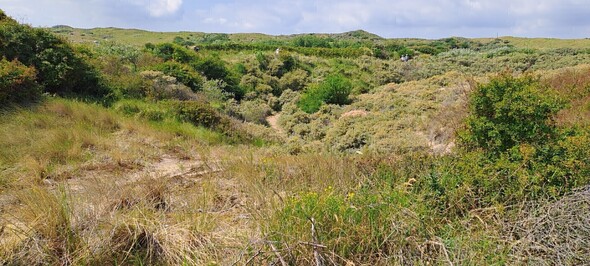 Terugblik Zin in de zomer: Soefi's aan Zee