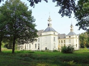 Zin in de Zomer 5