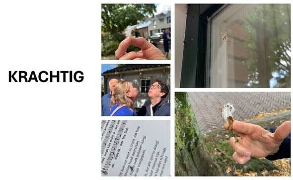 Terugblik middag programma startzondag