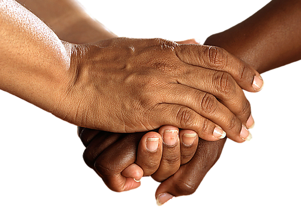 Collecte 31 december