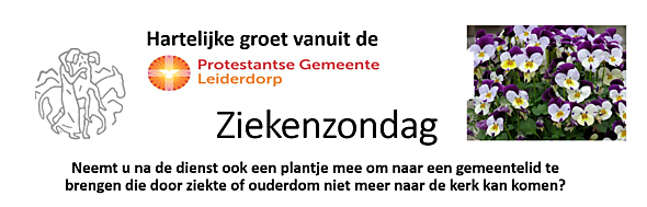 Terugblik Ziekenzondag