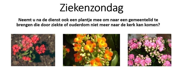 Terugblik Ziekenzondag