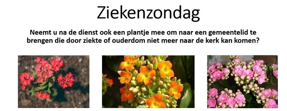 Terugblik Ziekenzondag