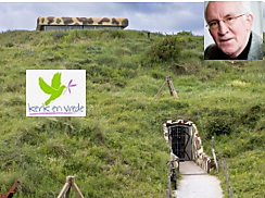 Zin in de Zomer 5