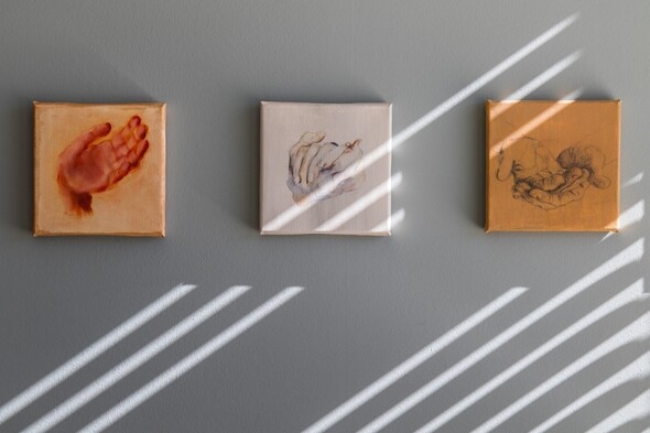 Organisatie en contact