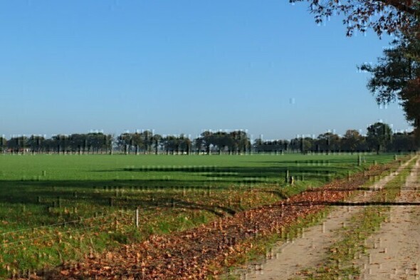 Stiltewandeling